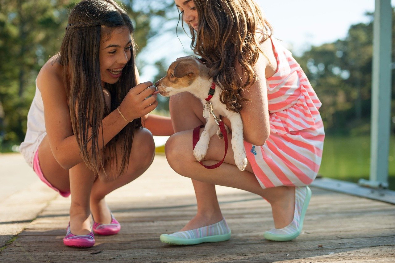 girls, dog, playing